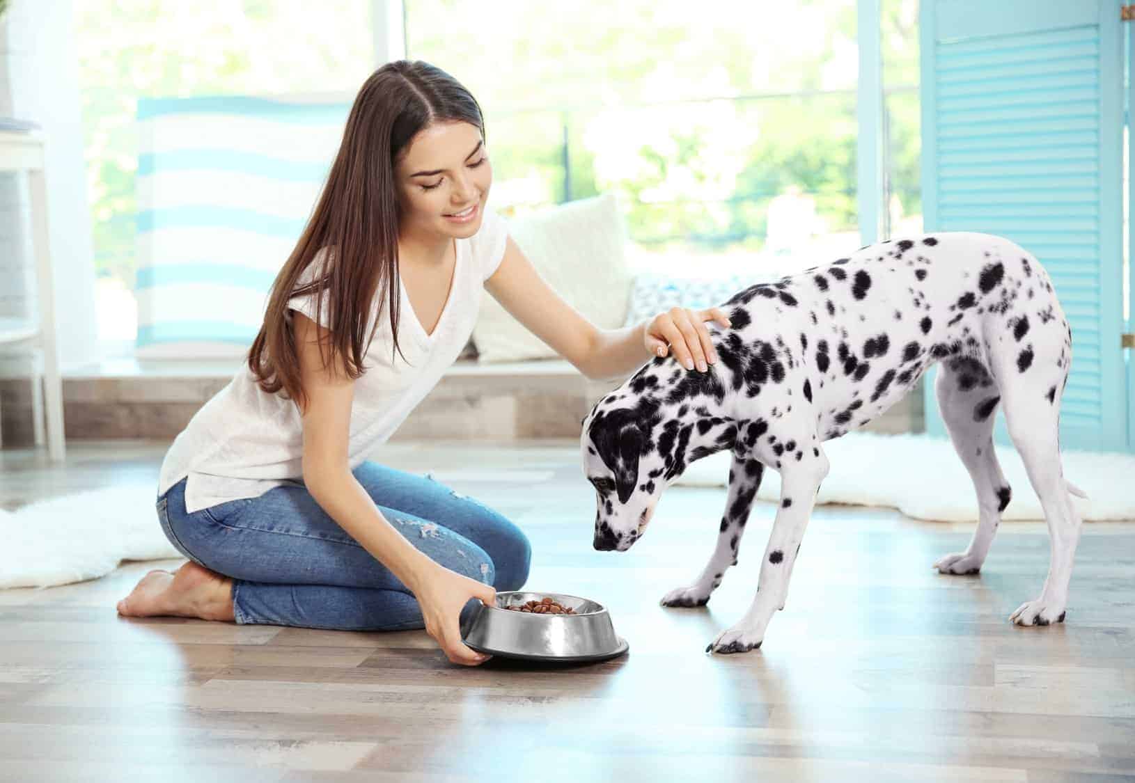 Diet tips for dogs with sensitive stomachs