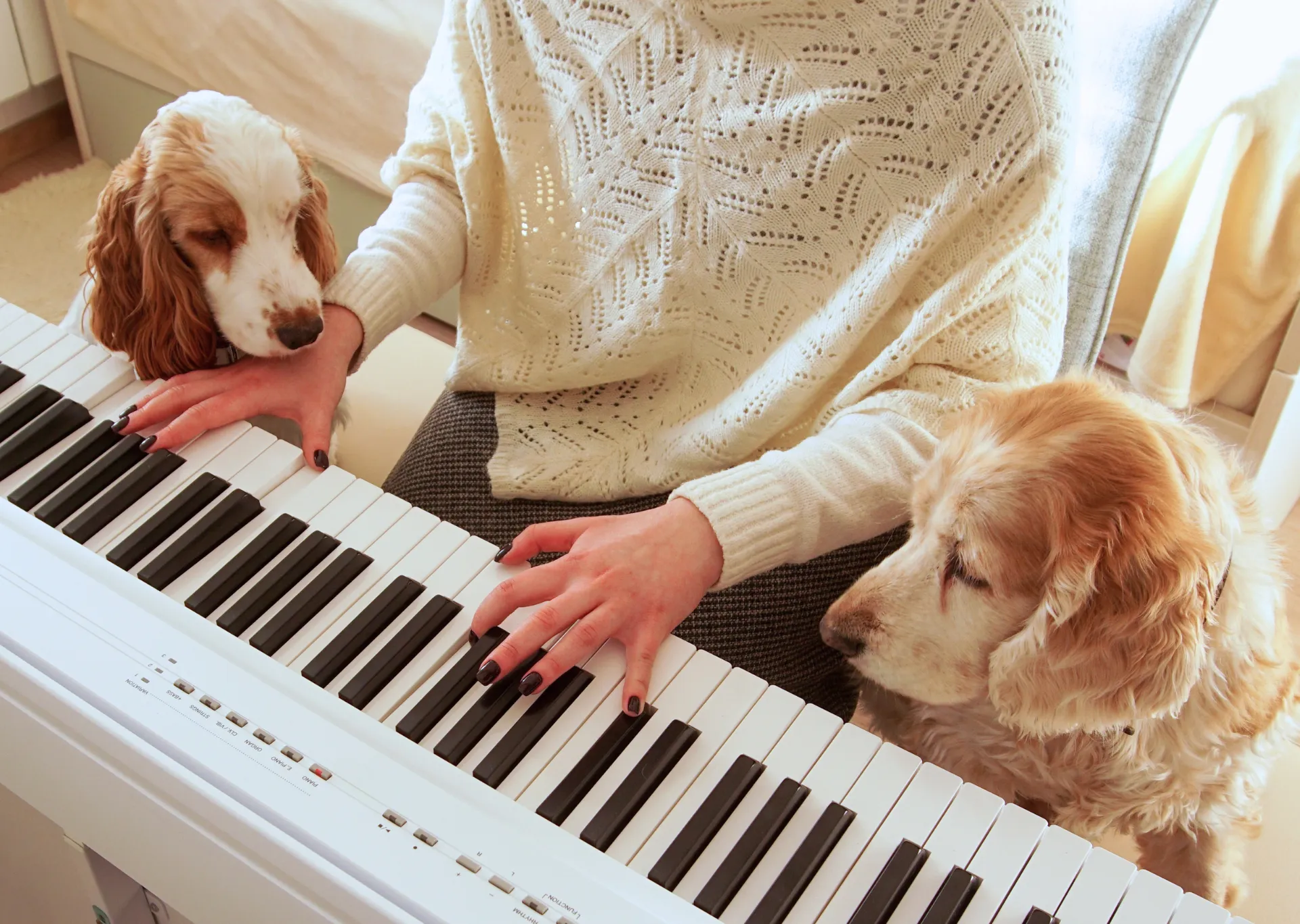 Two dogs listening to a person in a cream knitted jumper playing a piano