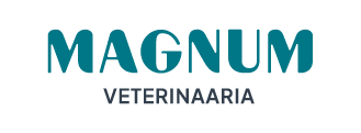 Magnum