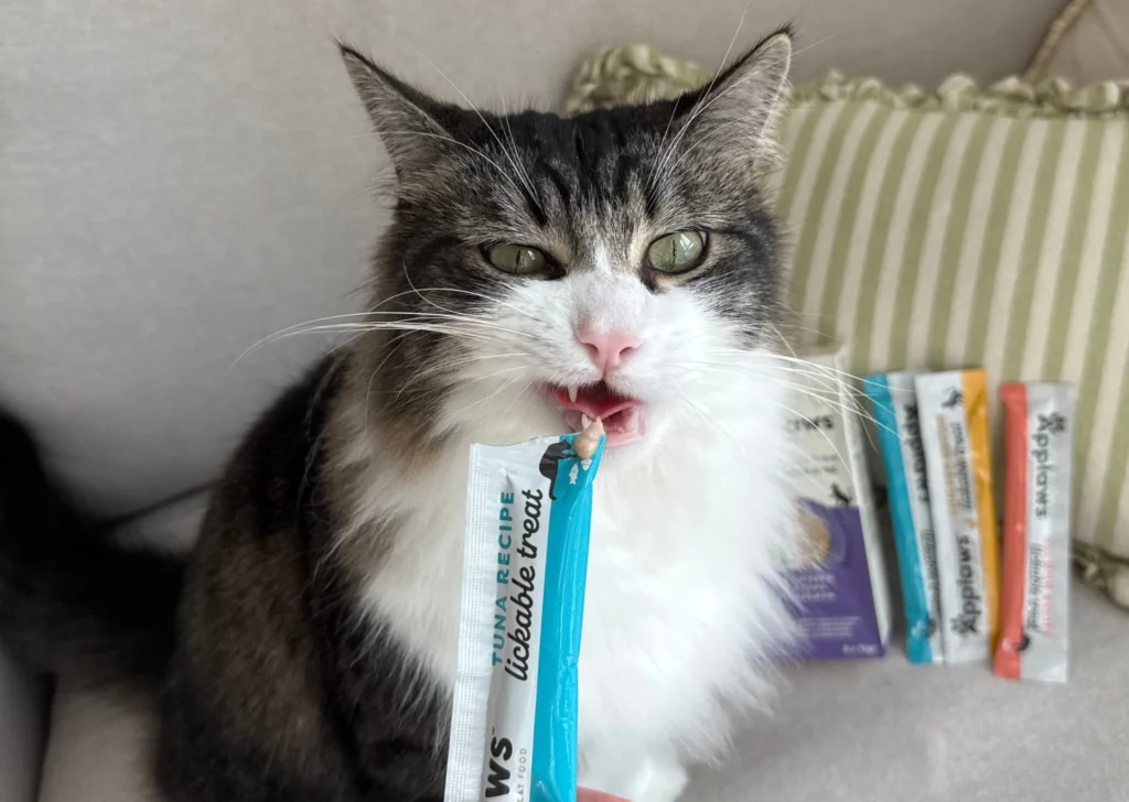 Cat eating Applaws Lickable Treat
