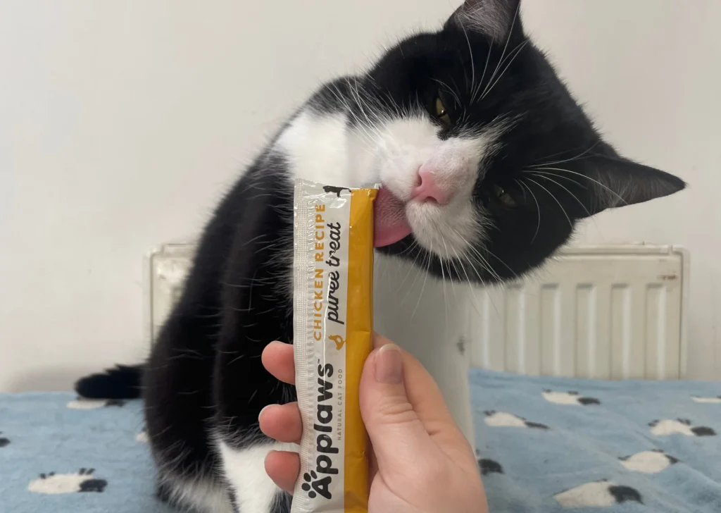 Cat licking Applaws Lickable Treat