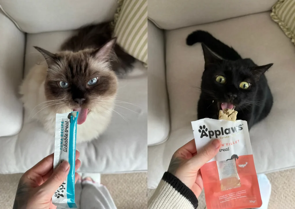 Cats eating Applaws treats