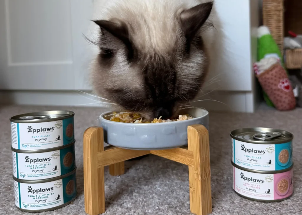 Cat eating Applaws cat food