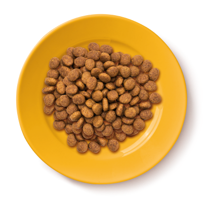 Dry food on a plate