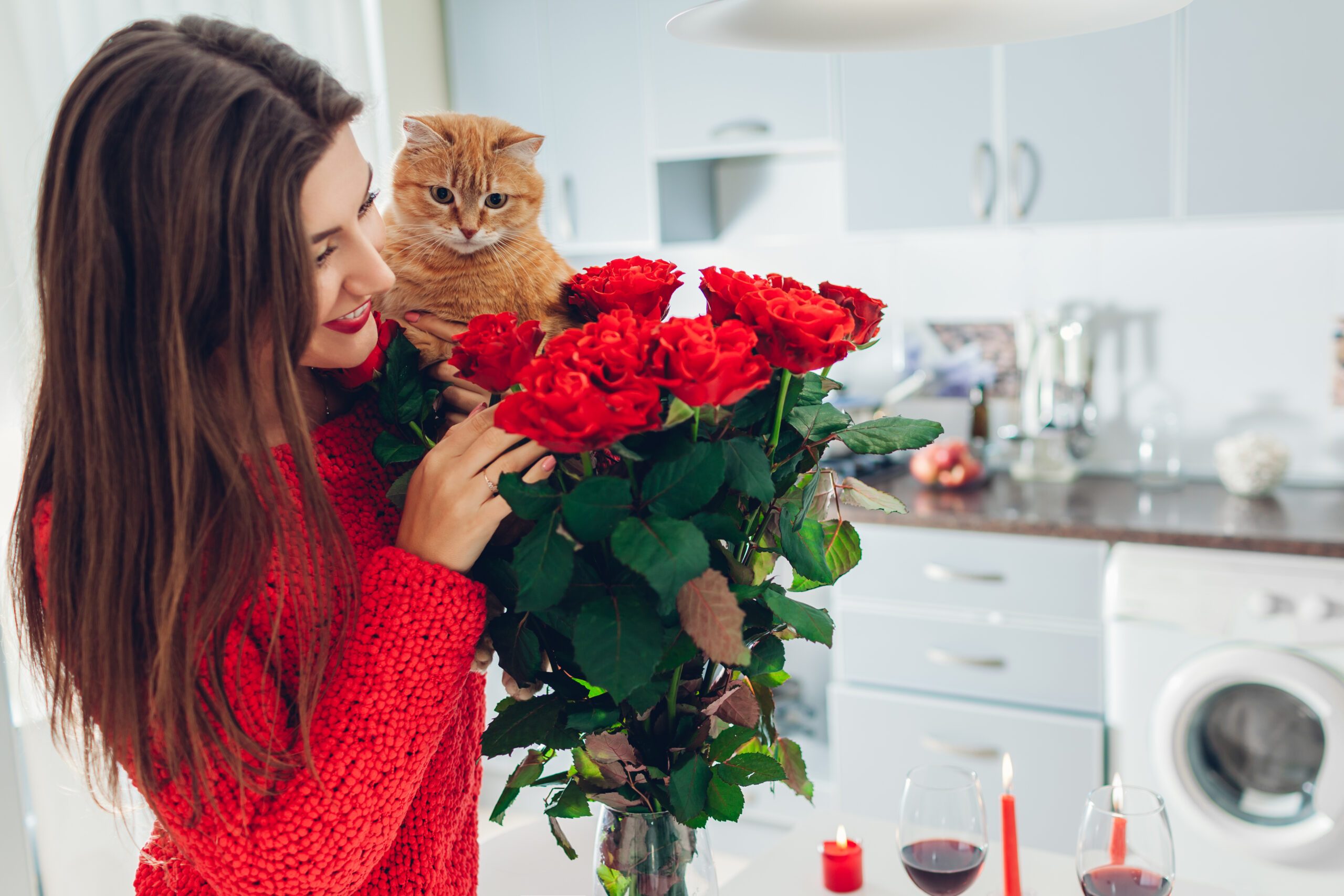 Person holds cat near bouquet of roses
