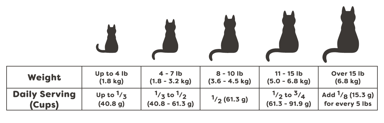Feeding guide