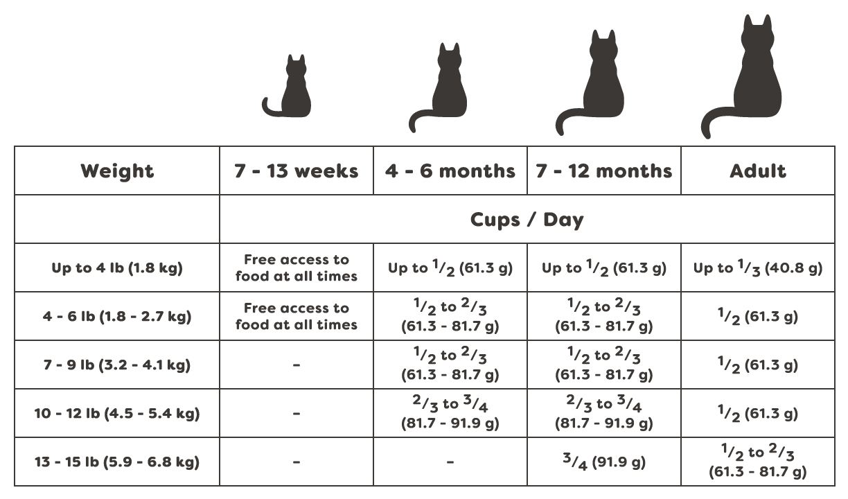 Feeding guide